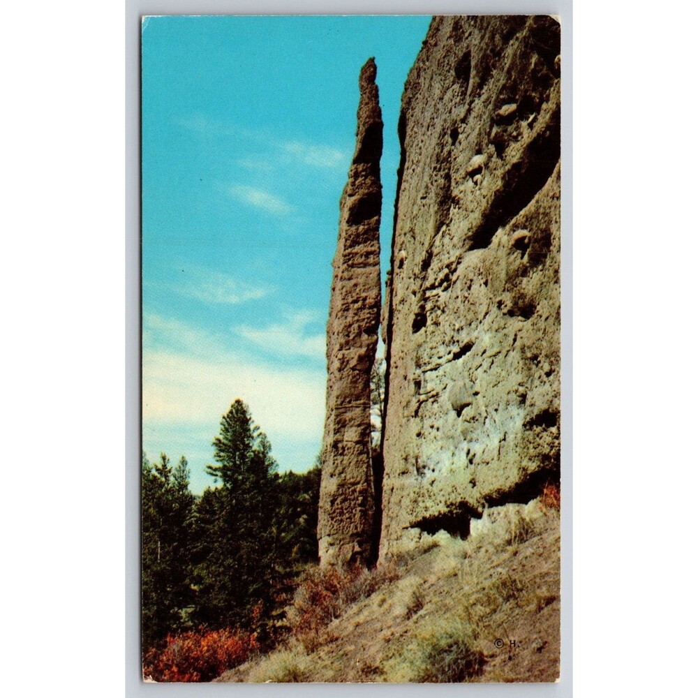 Postcard Yellowstone NP "The Needle" Near Tower Fall Haynes Studios Vtg Chrome
